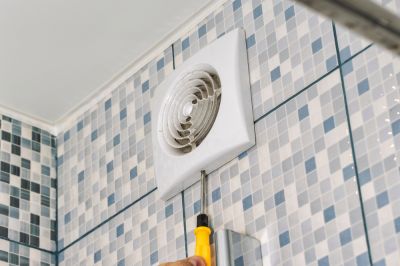 Prevents mold growth